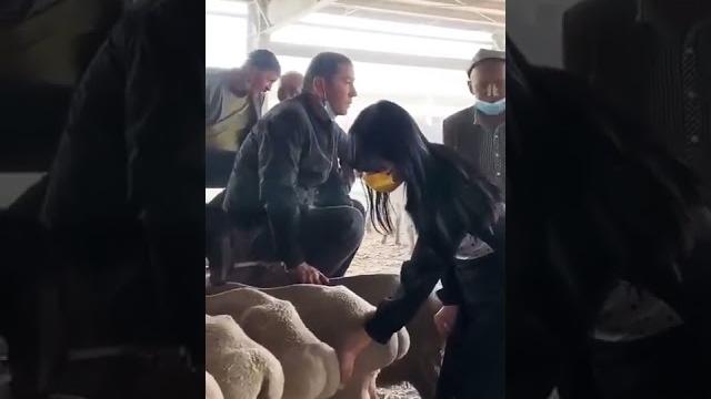 Uzbek prikol video узбекский прикол видео #rek #video #prikol #uzb obuna boling bosing Uzbek prikol video узбекский прикол видео #rek #video #prikol #uzb obuna boling bosing