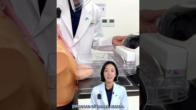 🩻 what happens during a mammogram? 🩻 what happens during a mammogram?