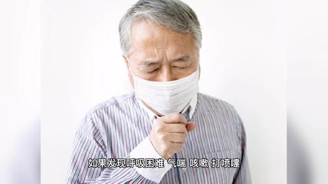 鸽子精神不好,缩脖闭眼,注意观察以下几点 鸽子精神不好,缩脖闭眼,注意观察以下几点