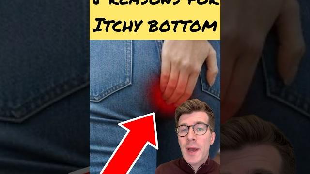 8 causes of an itchy bottom #shorts 8 causes of an itchy bottom #shorts