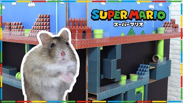 Hamstersuper mario Hamstersuper mario