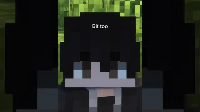 Minecraft winter texture pack Minecraft winter texture pack