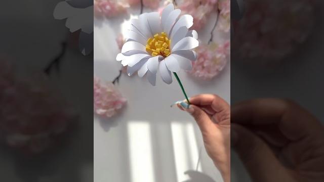 Diy cute paper daisy flowers Diy cute paper daisy flowers