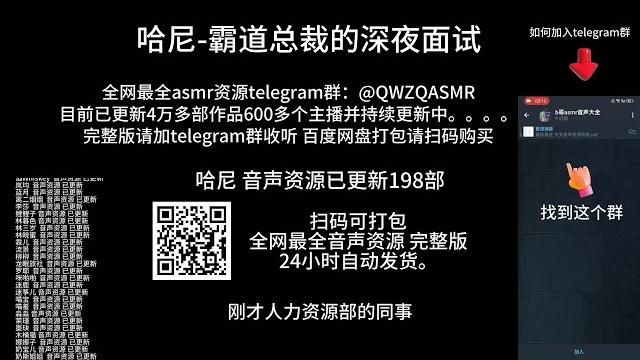 哈尼 霸道总裁的深夜面试 哈尼 霸道总裁的深夜面试