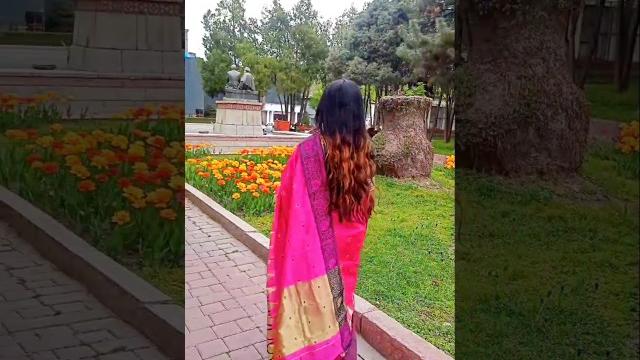 Gulabi sarara,desi nari in saree,bong girl,saree in abroad, trending,traditional,saree lovers, viral Gulabi sarara,desi nari in saree,bong girl,saree in abroad, trending,traditional,saree lovers, viral
