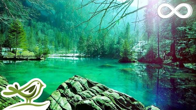 12 hours of relaxing sleep music for stress relief, sleeping & meditation (flying) 12 hours of relaxing sleep music for stress relief, sleeping & meditation (flying)