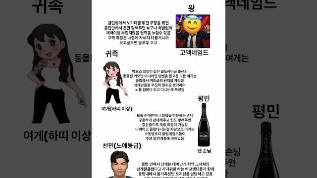 강남 클럽 계급 정리 #shorts 강남 클럽 계급 정리 #shorts