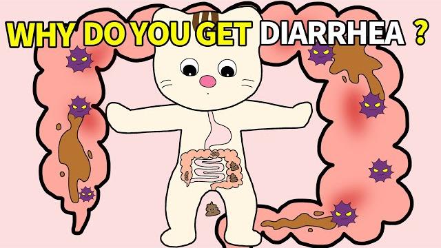 Picture book anime read aloud: why do you get diarrhea? Picture book anime read aloud: why do you get diarrhea?