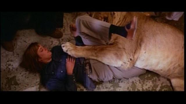 "roar" actors battle animals in newly-released 1981 film "roar" actors battle animals in newly-released 1981 film