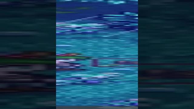 Lost in the woods in stardew valley Lost in the woods in stardew valley