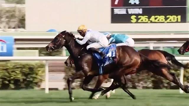 The race 馬王對決:金槍六十 v 浪漫勇士 · citi hong kong gold cup The race 馬王對決:金槍六十 v 浪漫勇士 · citi hong kong gold cup
