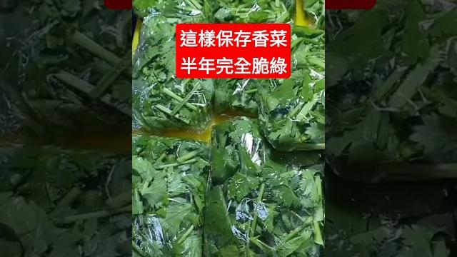 香菜這樣做可放半年都脆綠 香菜這樣做可放半年都脆綠