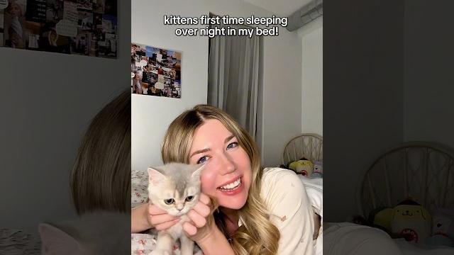 First night sleeping with my new kitten! First night sleeping with my new kitten!