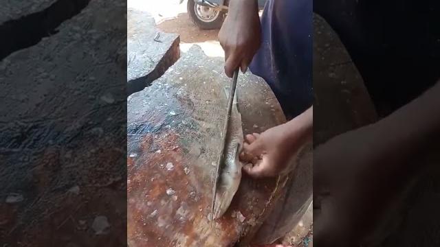 Mustafa sea food madurai Mustafa sea food madurai