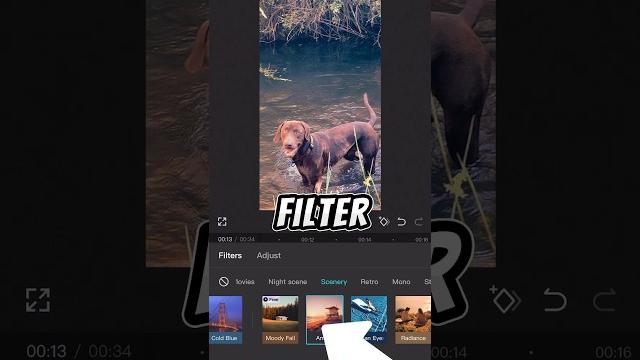 How to add filter to entire video #capcuttutorial #editingtutorial #capcut #travelvideo #tutorial How to add filter to entire video #capcuttutorial #editingtutorial #capcut #travelvideo #tutorial