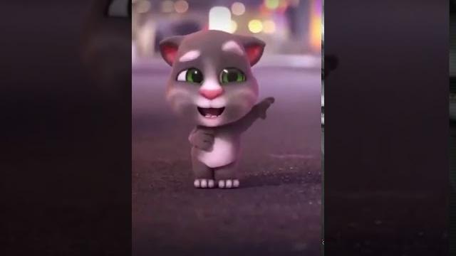 Kucing joget lucu aq sayang Kucing joget lucu aq sayang