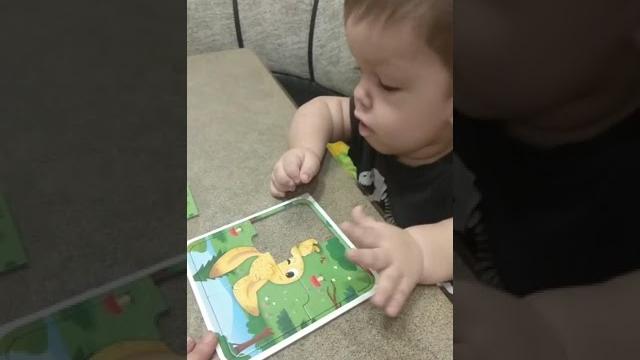 Складываем пазлы Складываем пазлы
