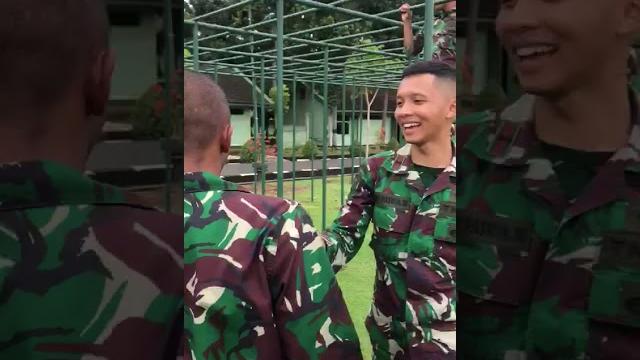 Singa dipaksa jilat ketiak temannya Singa dipaksa jilat ketiak temannya