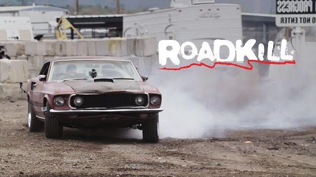 Junkyard-rescue 1969 mustang mach 1! - roadkill ep. 66 Junkyard-rescue 1969 mustang mach 1! - roadkill ep. 66