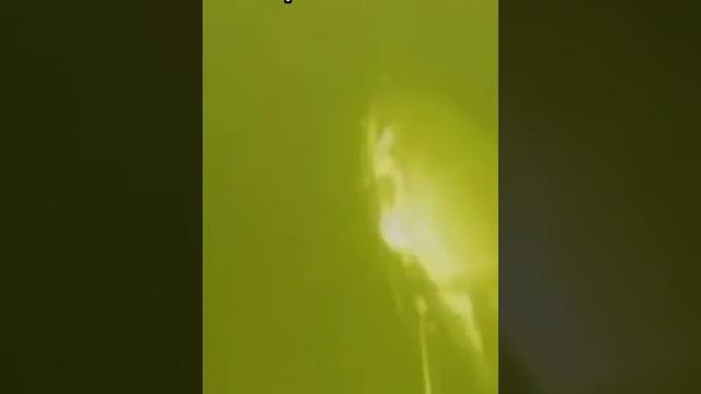 Интересные факты про сома #shorts Интересные факты про сома #shorts