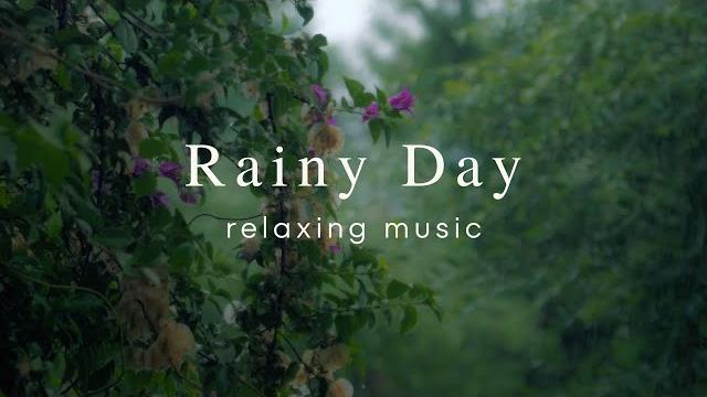 Relaxing music and rain | stress relief calm sleep 1 hour Relaxing music and rain | stress relief calm sleep 1 hour