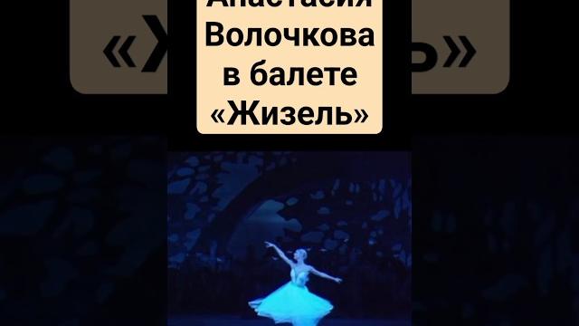 Анастасия волочкова, жизель #балет #волочкова Анастасия волочкова, жизель #балет #волочкова