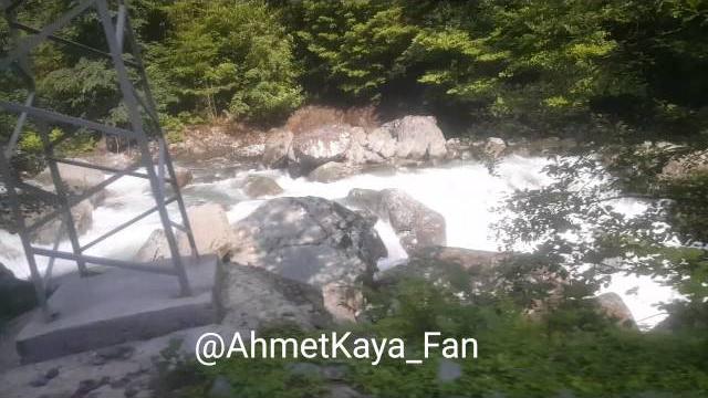 Ahmet kaya - gaş gabah Ahmet kaya - gaş gabah