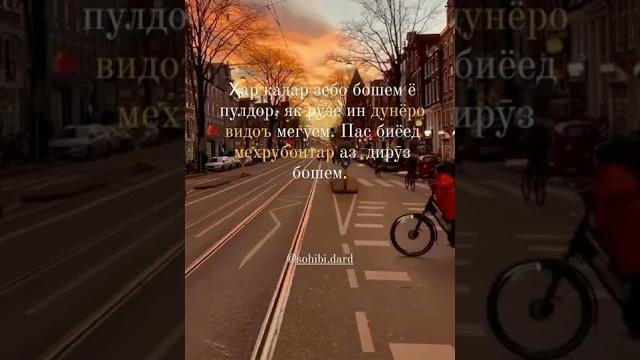 Шери ошики бехтарин Шери ошики бехтарин
