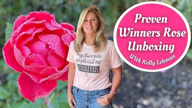 Proven winners rose unboxing with kelly lehman Proven winners rose unboxing with kelly lehman