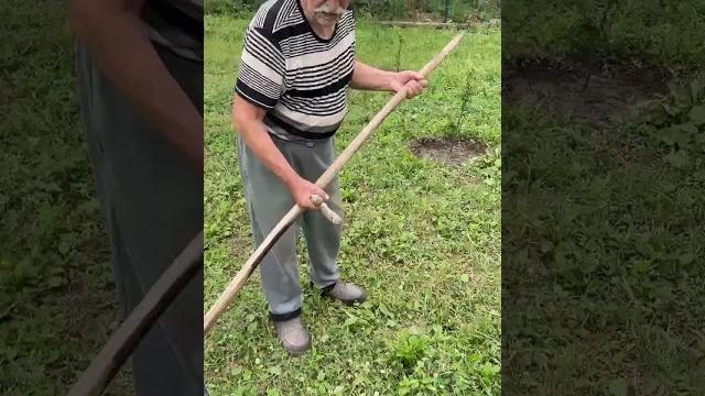 Папа учит нас косить Папа учит нас косить