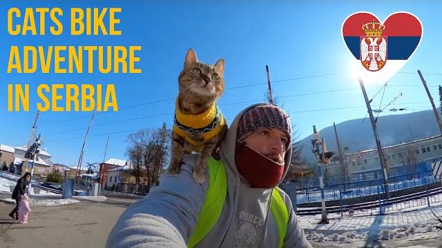 Cats bike ride to serbia ️️ vlog#18 Cats bike ride to serbia ️️ vlog#18