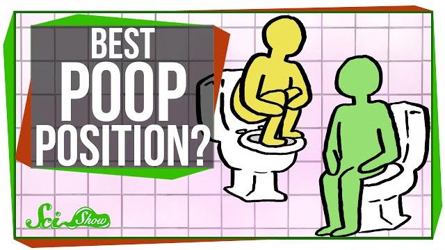 What's the best position for pooping? What's the best position for pooping?