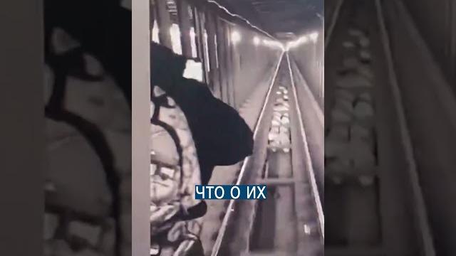 Угнали метро и катались по станциям нью-йорка Угнали метро и катались по станциям нью-йорка