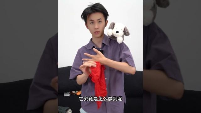 揭秘神奇丝巾穿过手的魔术 揭秘神奇丝巾穿过手的魔术