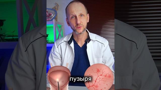 Цистит воспаление мочевого пузыря | весна #доктор #цистит #причины #девушки #боли #short Цистит воспаление мочевого пузыря | весна #доктор #цистит #причины #девушки #боли #short