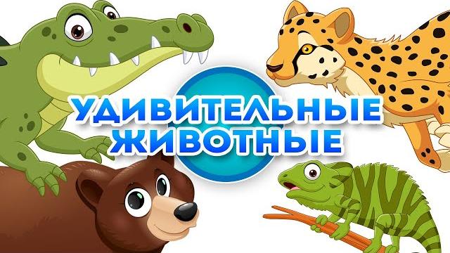 Удивительные животные - познавательное видео для детей Удивительные животные - познавательное видео для детей