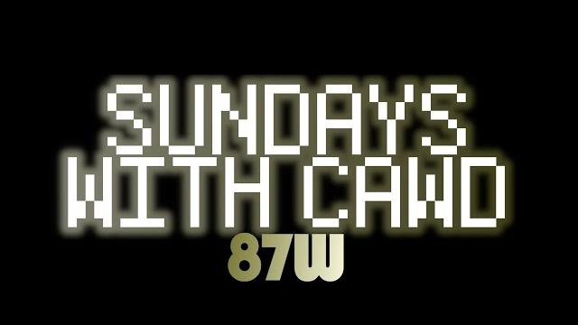 Sundays with cawd - the other decoys p2 Sundays with cawd - the other decoys p2
