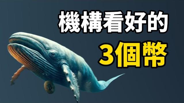 【加密貨幣投資】3個機構都持有的加密貨幣 i 機構看好的幣一定會漲? 【加密貨幣投資】3個機構都持有的加密貨幣 i 機構看好的幣一定會漲?