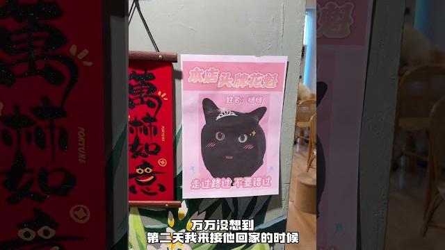 【#一只黑糖啵啵】送我家猫去猫咖打工、结果她当上花魁了! #黑猫 #网易天成猫粮 #美毛猫粮 #兔肉猫粮 【#一只黑糖啵啵】送我家猫去猫咖打工、结果她当上花魁了! #黑猫 #网易天成猫粮 #美毛猫粮 #兔肉猫粮