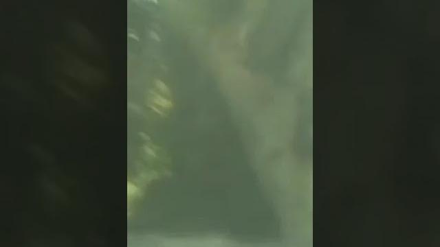 Проник в психушку! Проник в психушку!