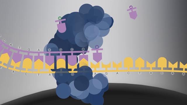 Pacbio sequencing – how it works Pacbio sequencing – how it works