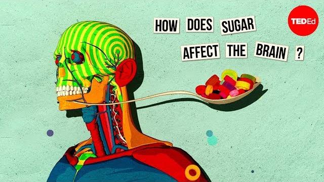 How sugar affects the brain - nicole avena How sugar affects the brain - nicole avena