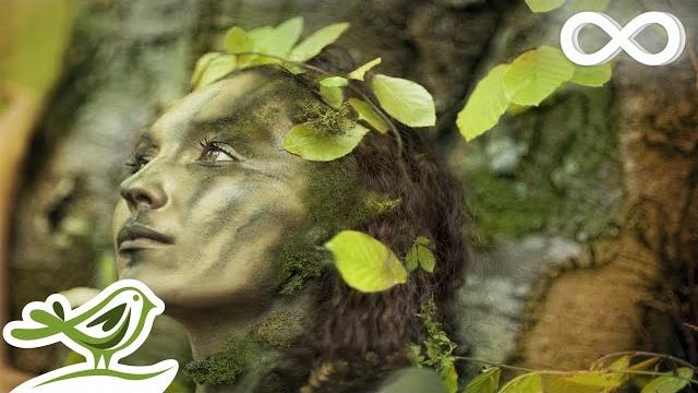 Dance of life: relaxing celtic music for meditation & sleep by peder b. helland Dance of life: relaxing celtic music for meditation & sleep by peder b. helland