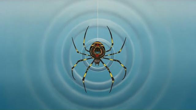 Grateful dead - ripple (official music video) Grateful dead - ripple (official music video)
