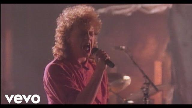 Toto - pamela Toto - pamela