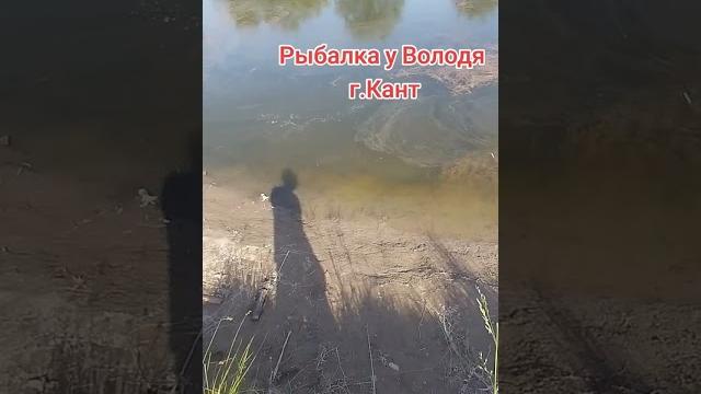 Рыбалка в бишкеке Рыбалка в бишкеке