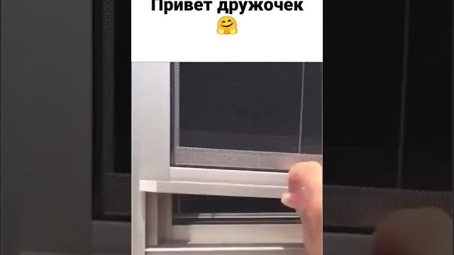 Друзья на всю жизнь привет дружочек Друзья на всю жизнь привет дружочек