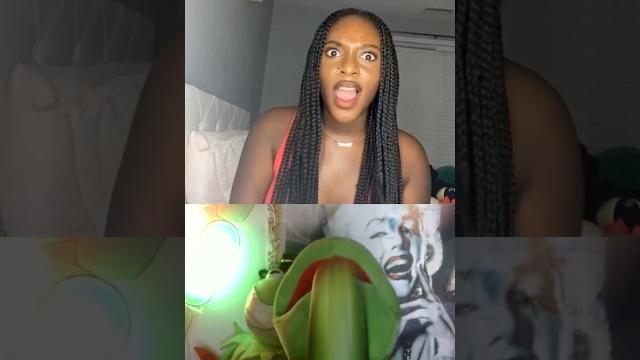 Kermit being devious on omegle again Kermit being devious on omegle again