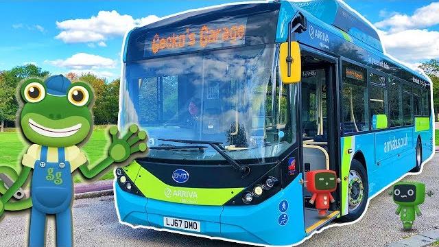 Bus videos for children | gecko's real vehicles Bus videos for children | gecko's real vehicles