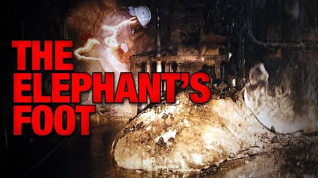 The elephant's foot - corpse of chernobyl The elephant's foot - corpse of chernobyl